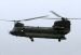 chinook10