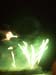 fireworks44