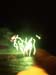 fireworks45