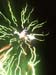 fireworks47