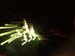 fireworks54