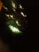 fireworks55